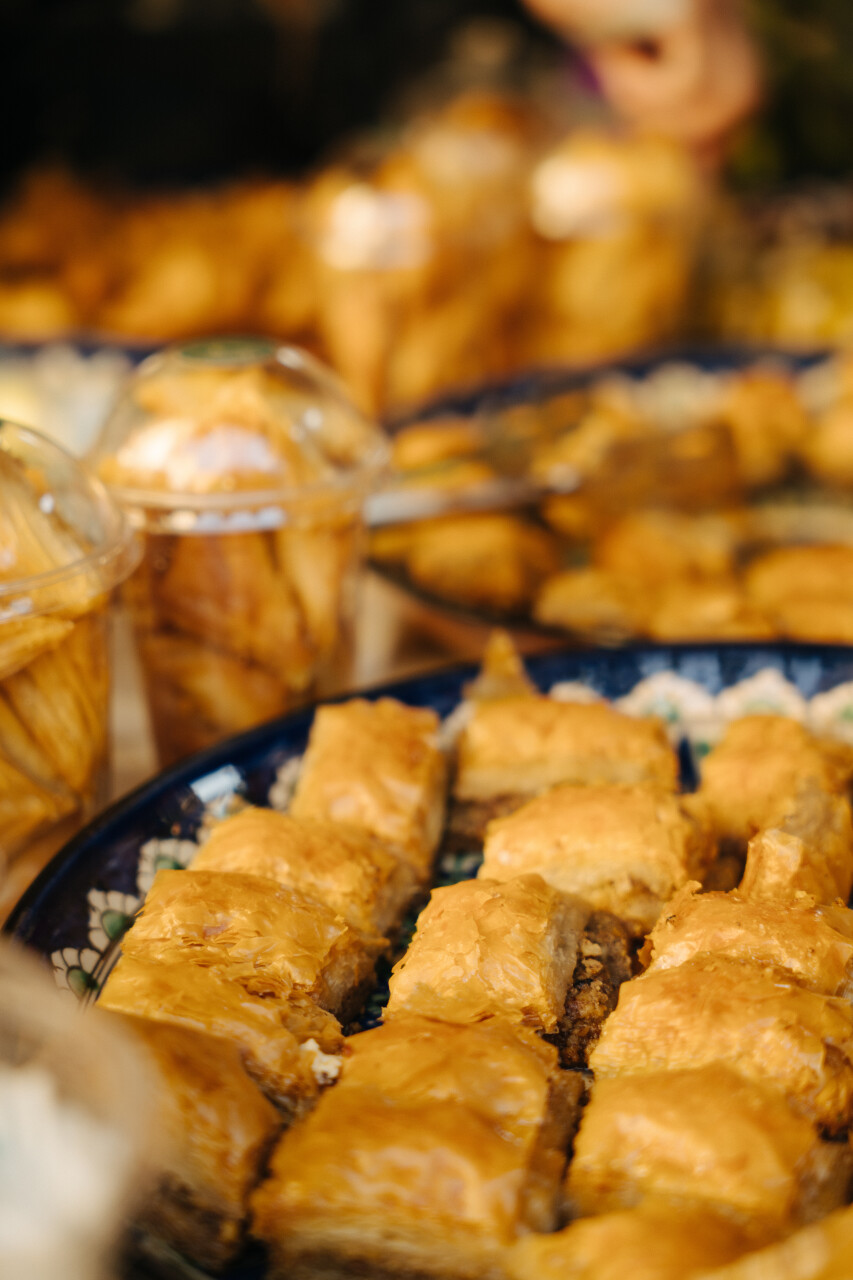 DSC04218.jpg
