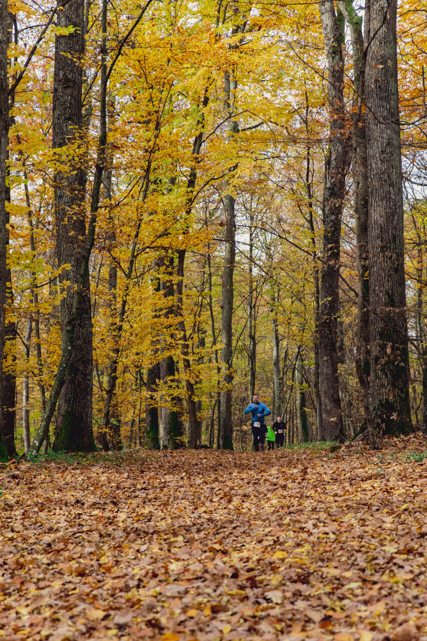 UzhTrail_zasadnyi-1148.jpg