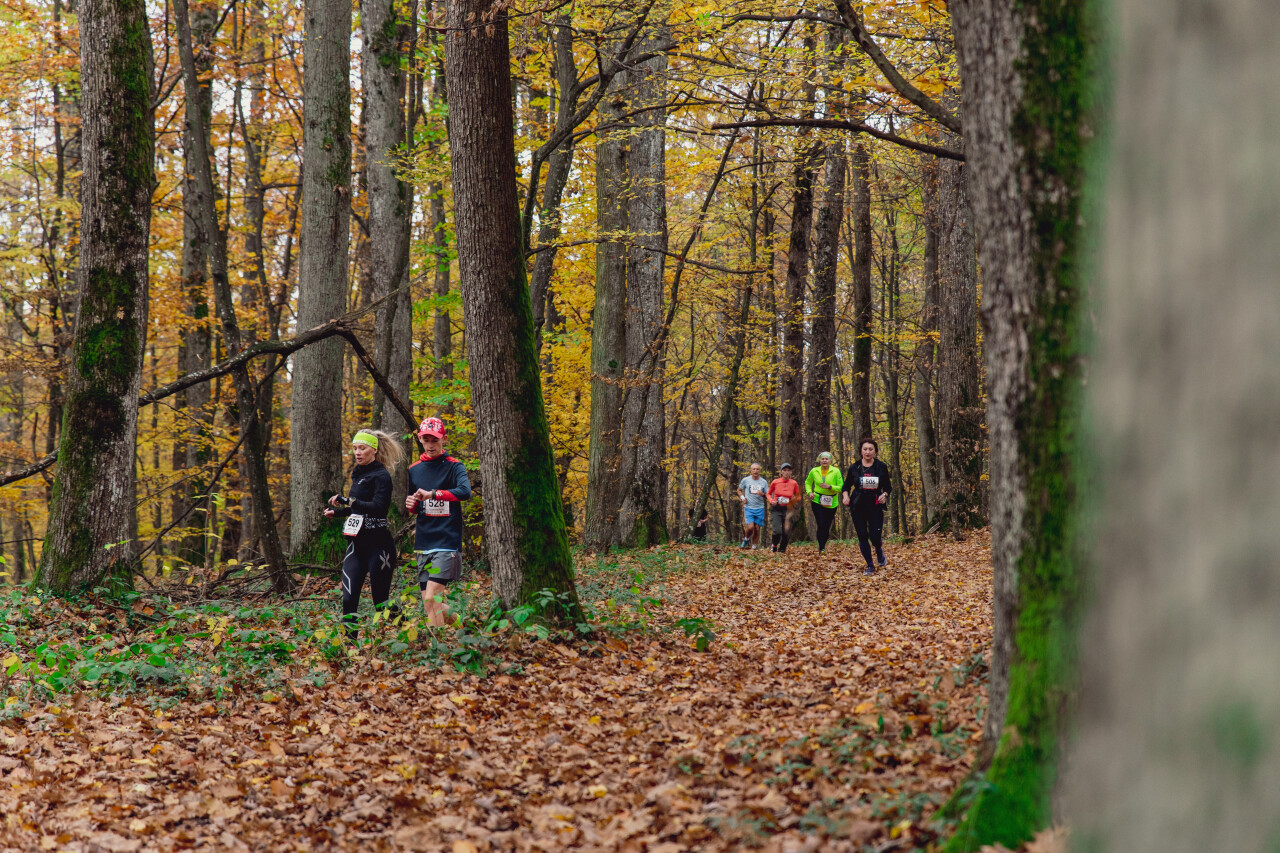 UzhTrail_zasadnyi-1337.jpg