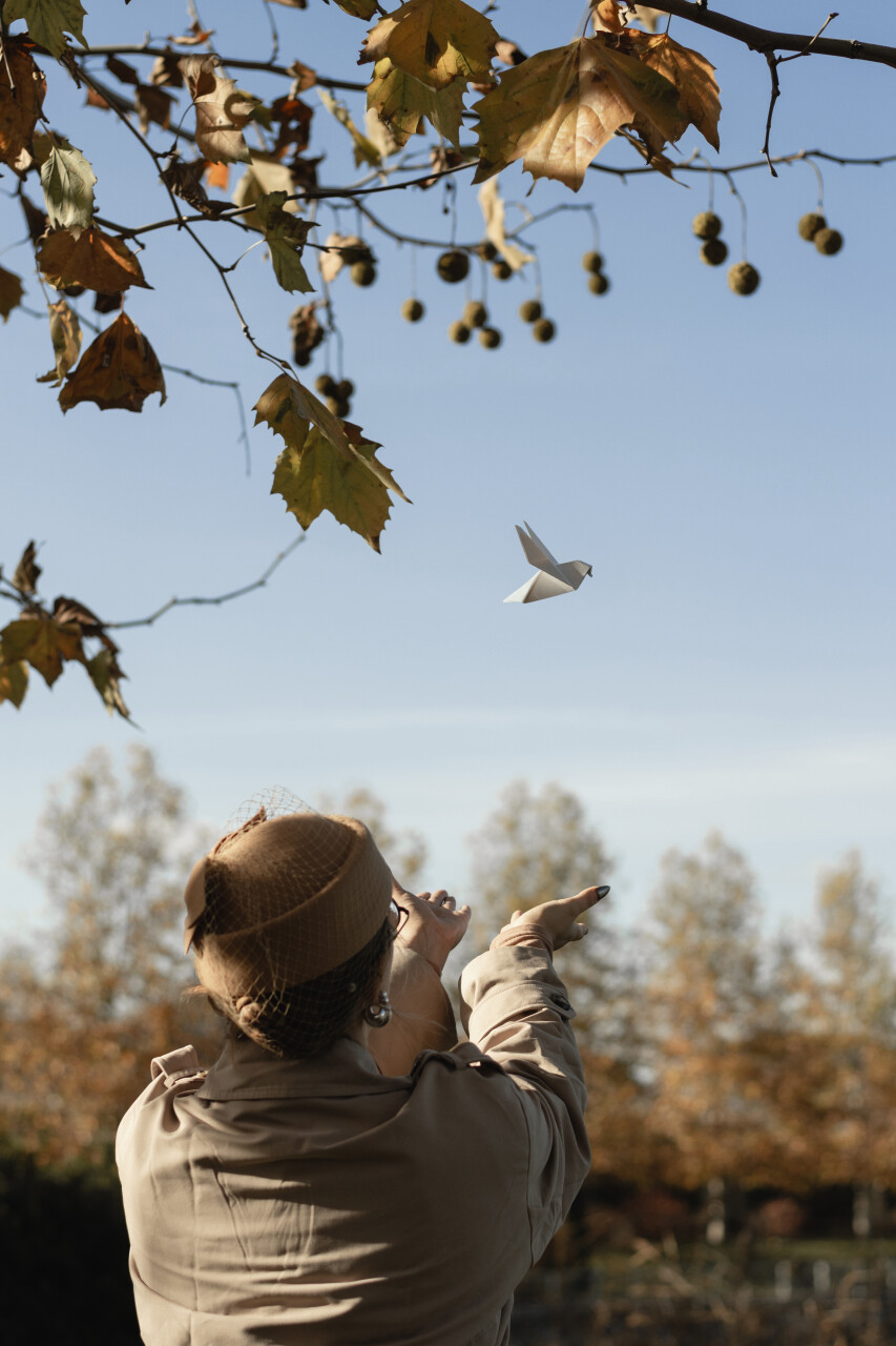 DSC_9868 копія.jpg