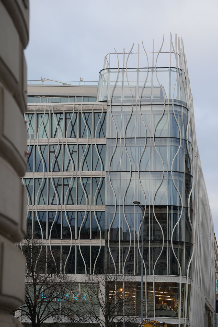 DSC04619.jpg