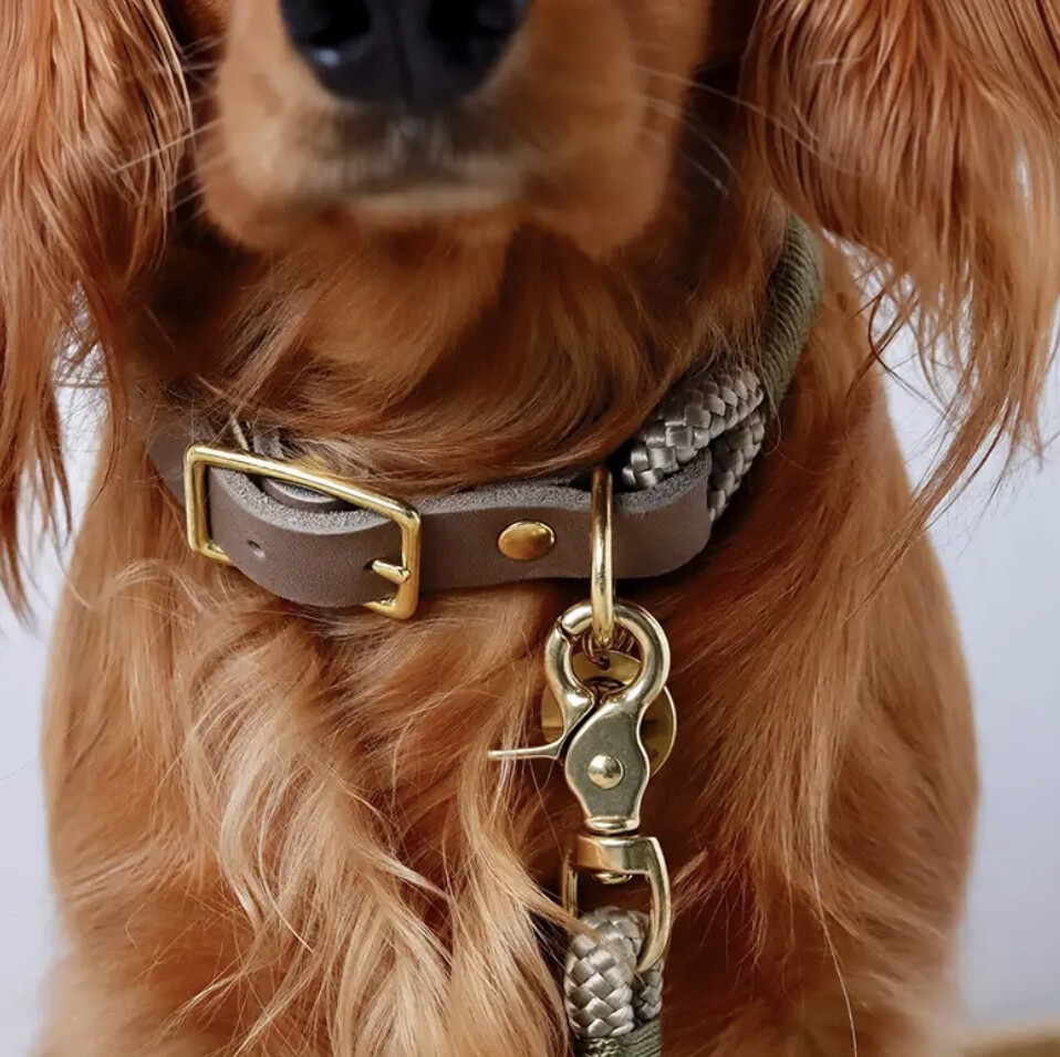 Знімок екрана  о 12.45.51.png