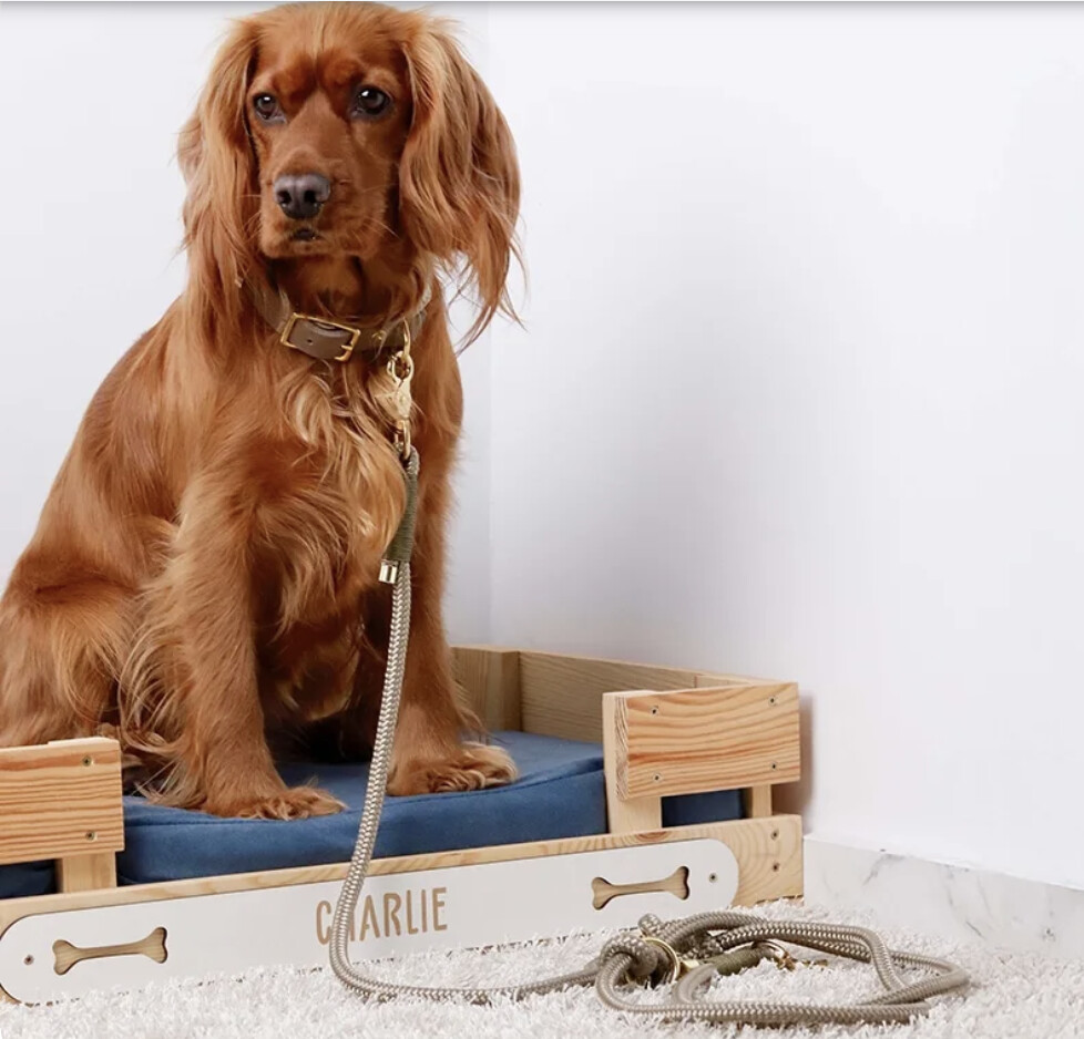 Знімок екрана  о 12.46.05.png