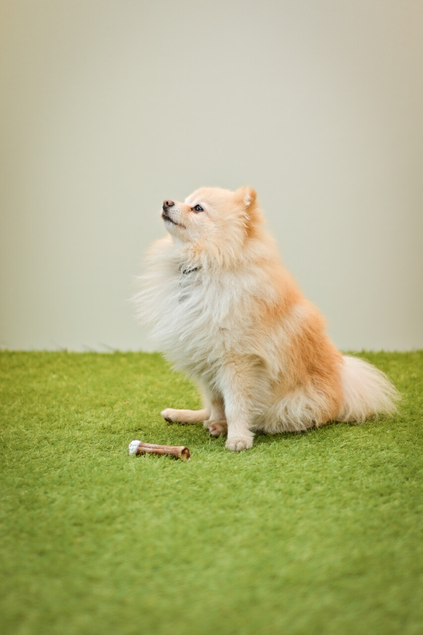 IMG_9040.jpeg