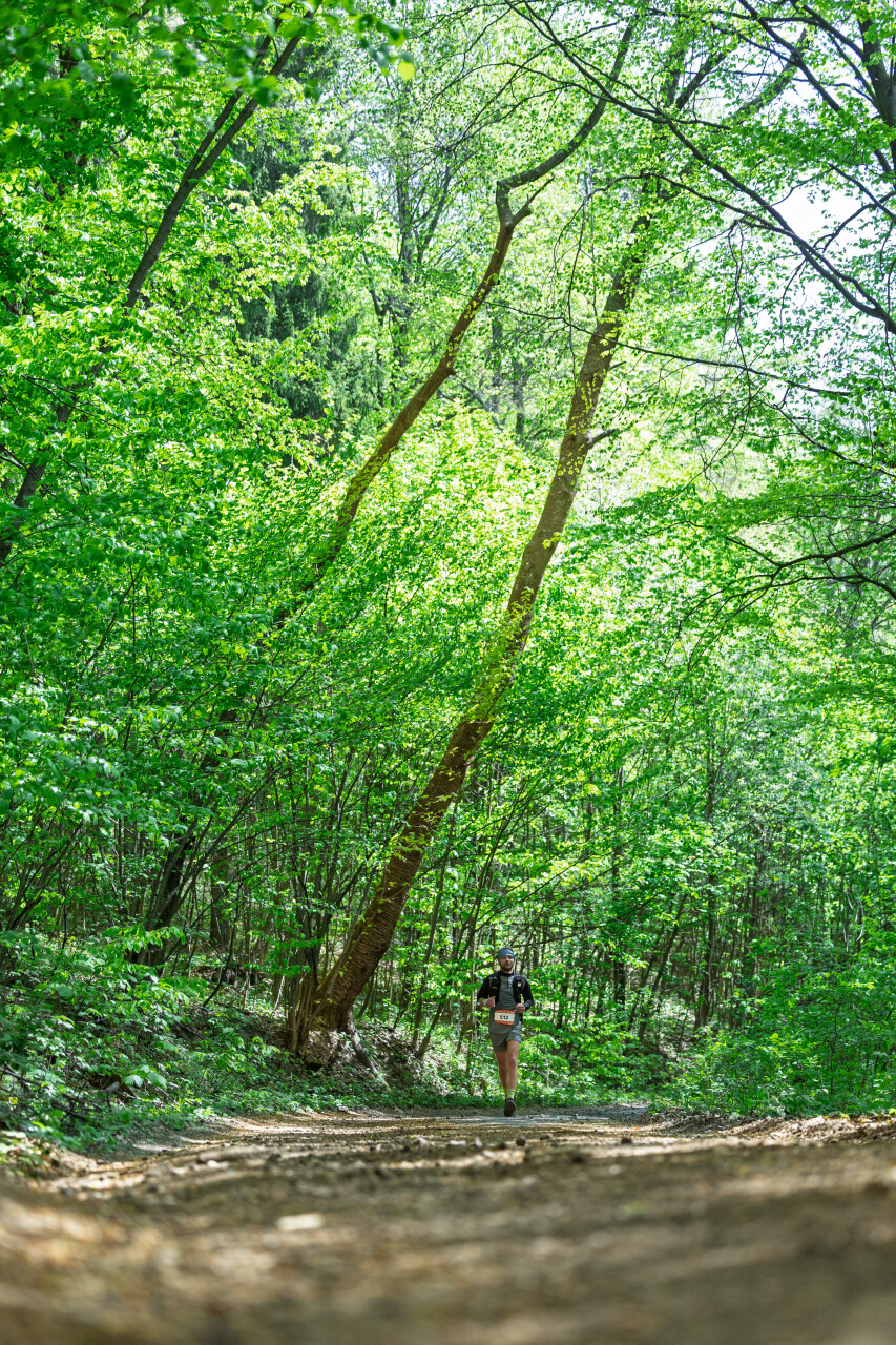 Atnalovetska26_zasadnyi-122.jpg