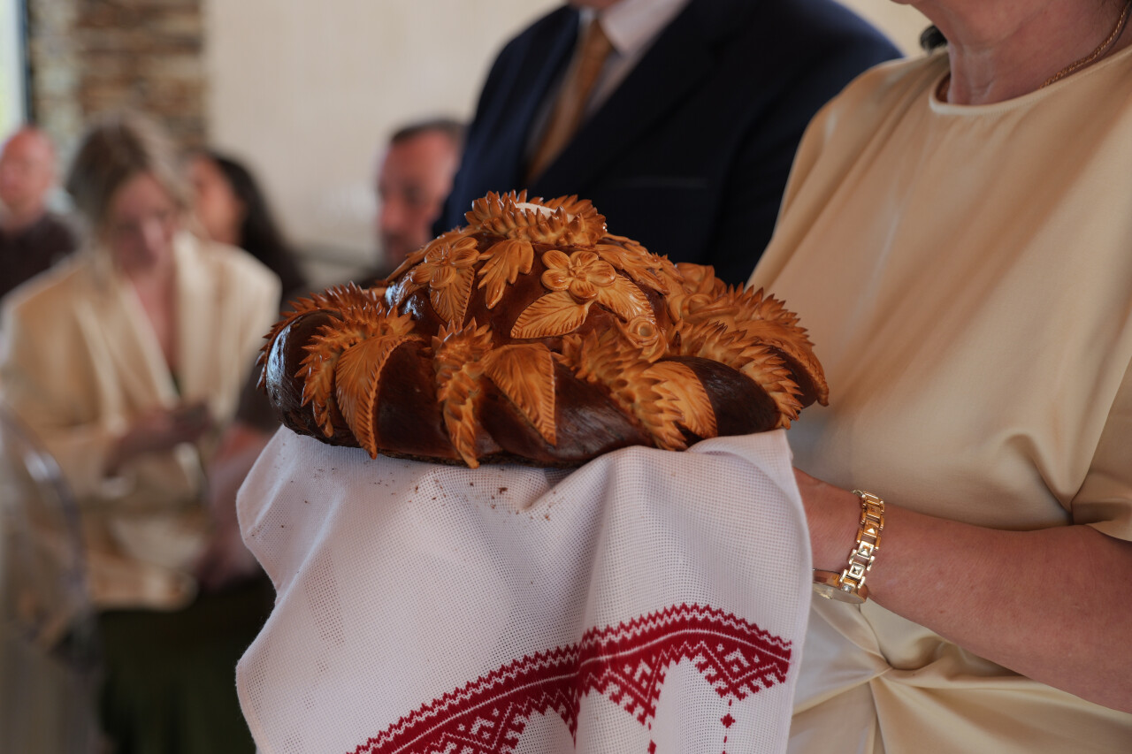 P1574869.jpg