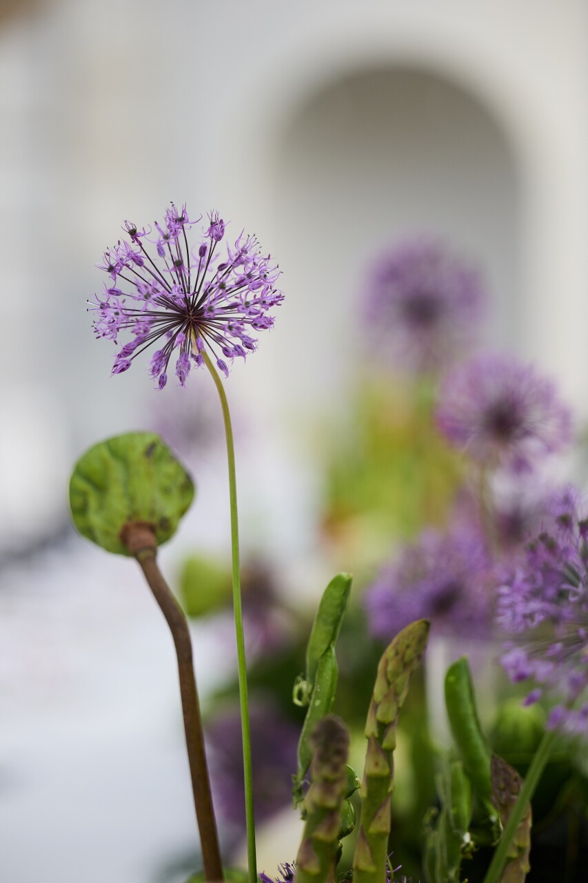 _W5A09270081.jpg