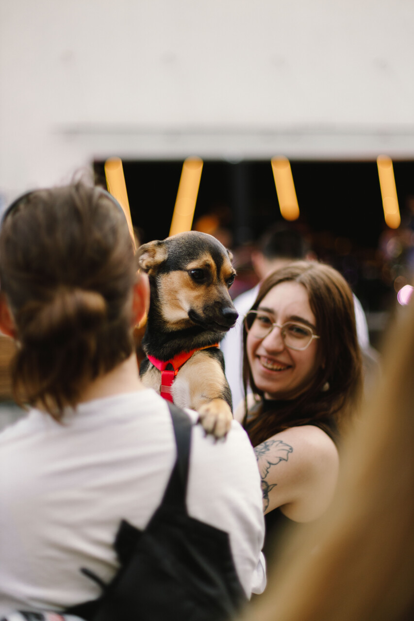 1D1A7453.jpg
