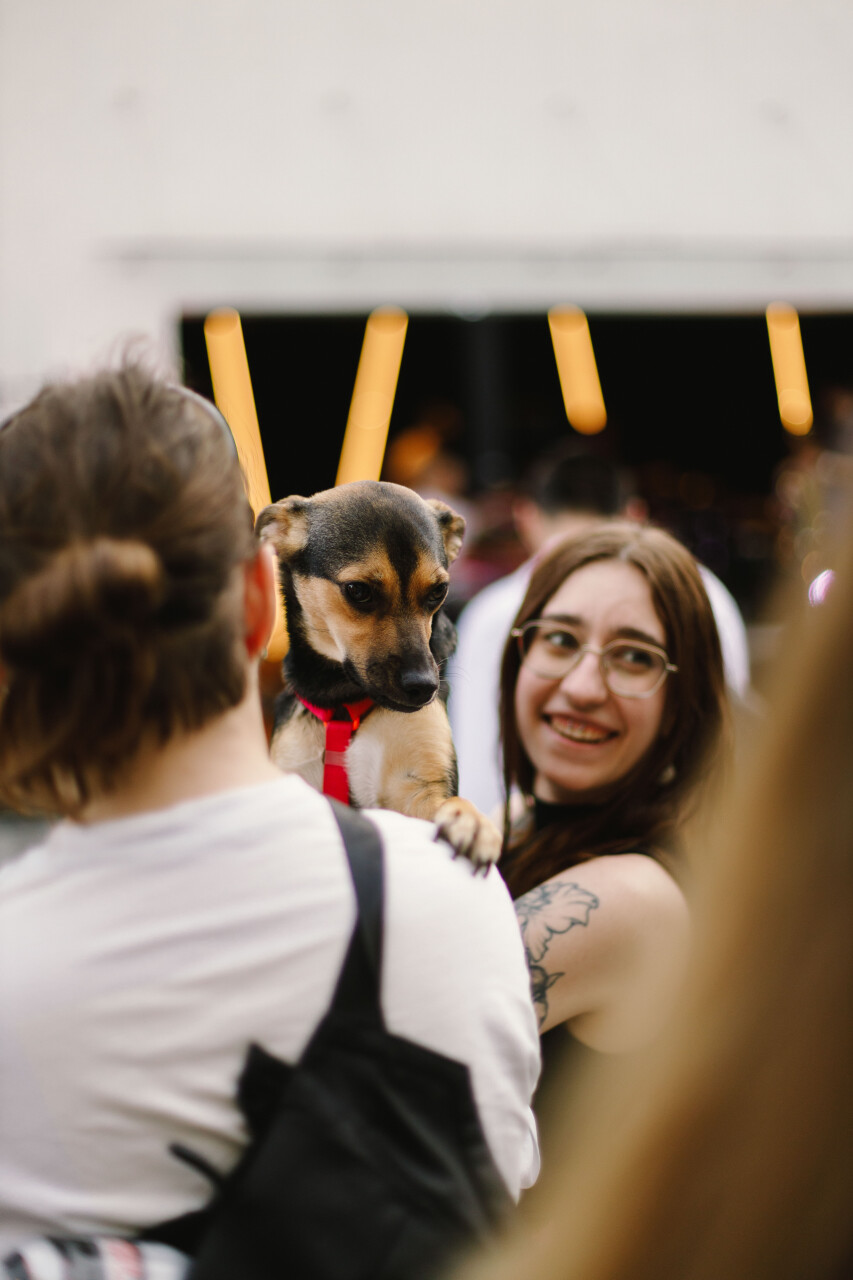 1D1A7454.jpg