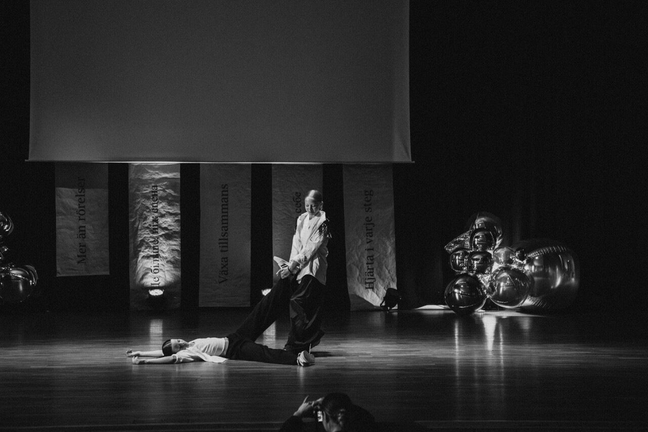 LAS_2551.jpg