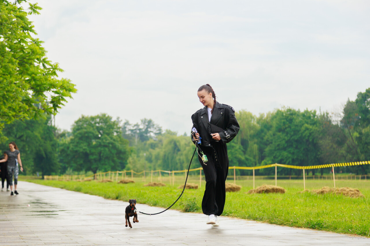 2026_06_12_024911C.JPG
