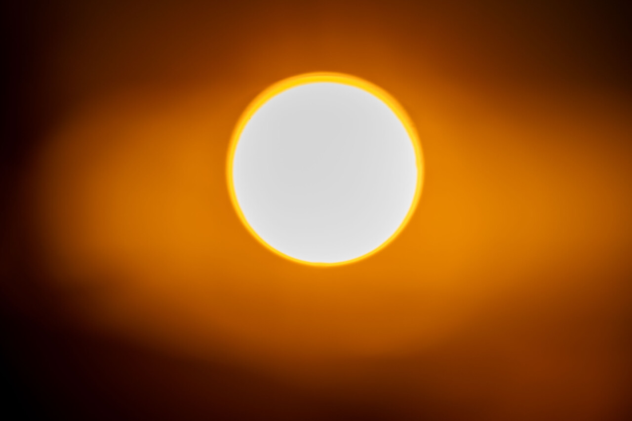 0E0A5484.jpg