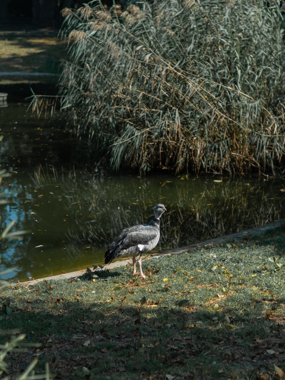 _DSC4888.jpg