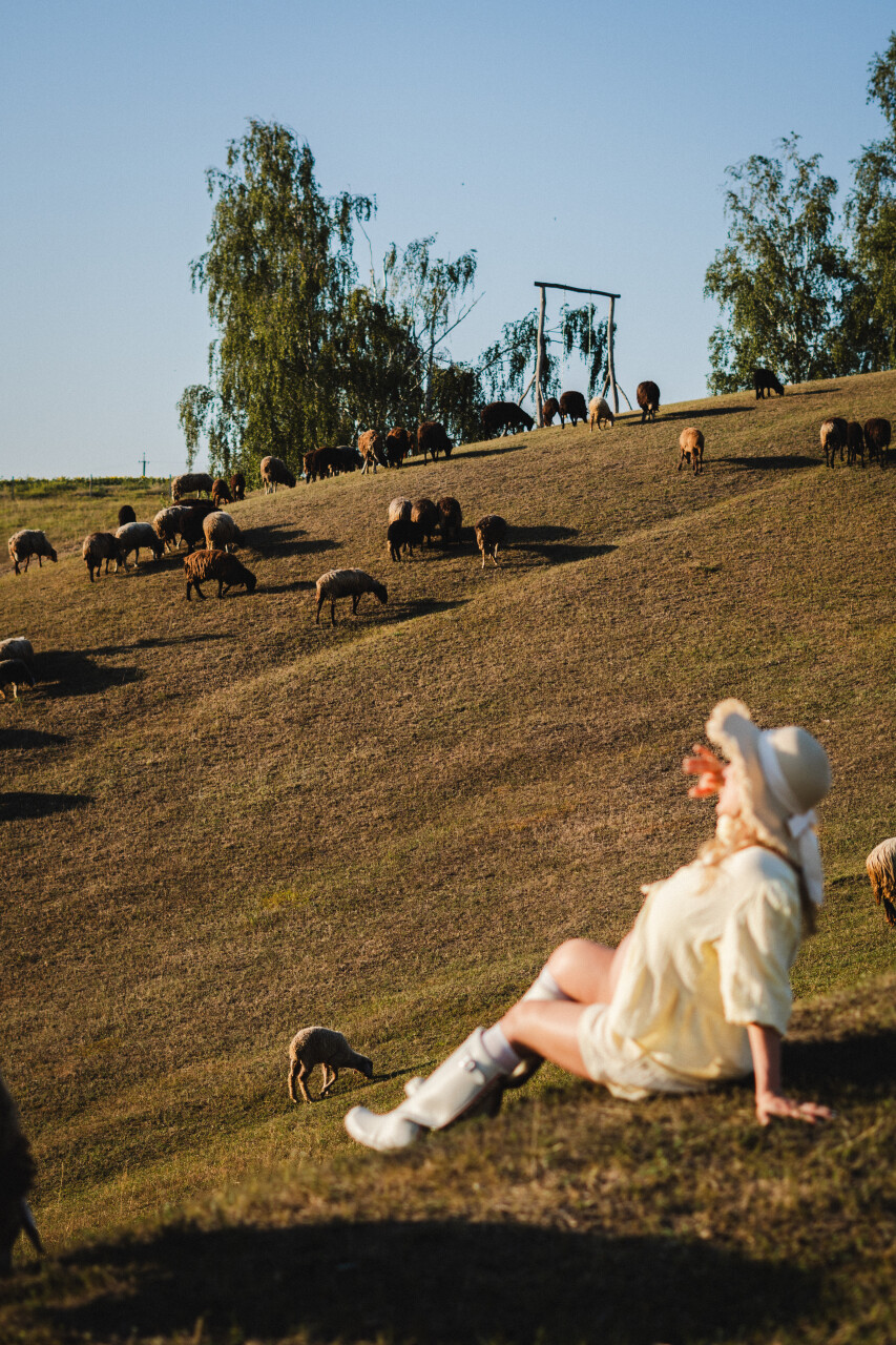 ZVK09242.jpg