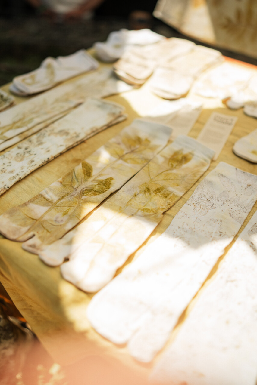 DSC02490.jpg