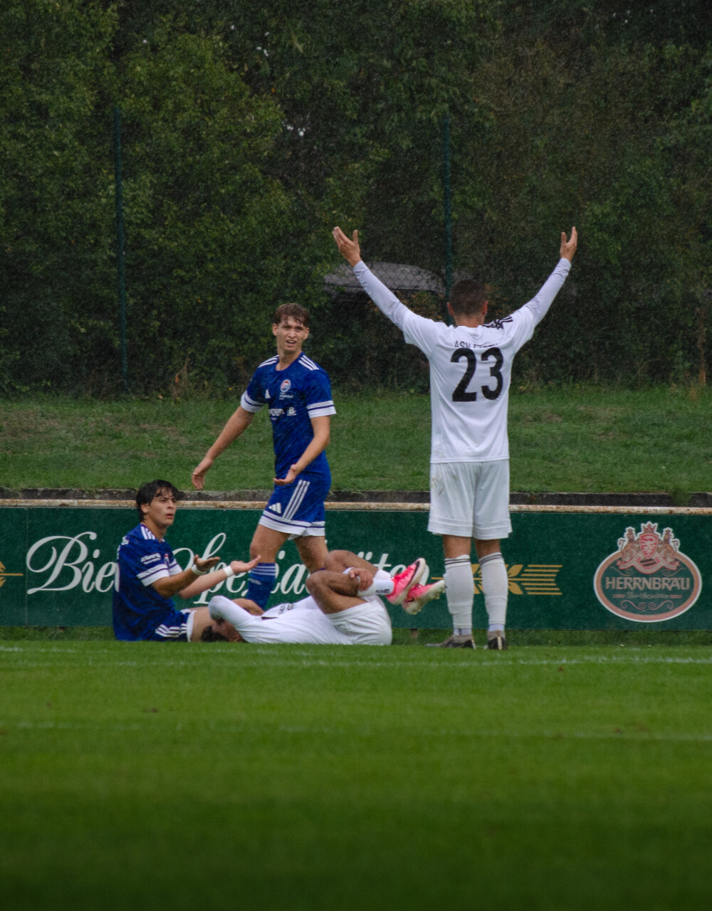 DSC_0367 копія.jpg