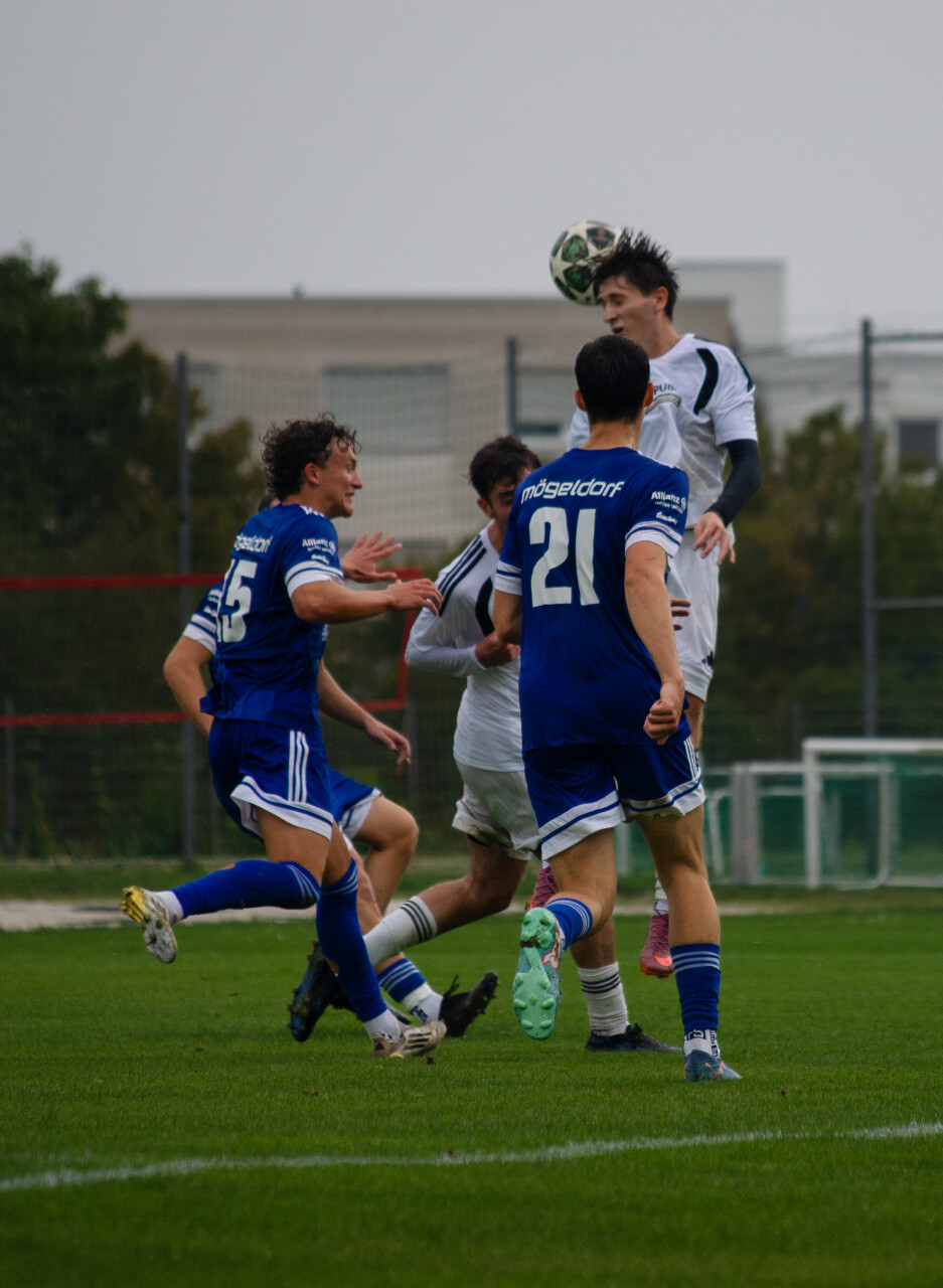 DSC_0464 копія.jpg