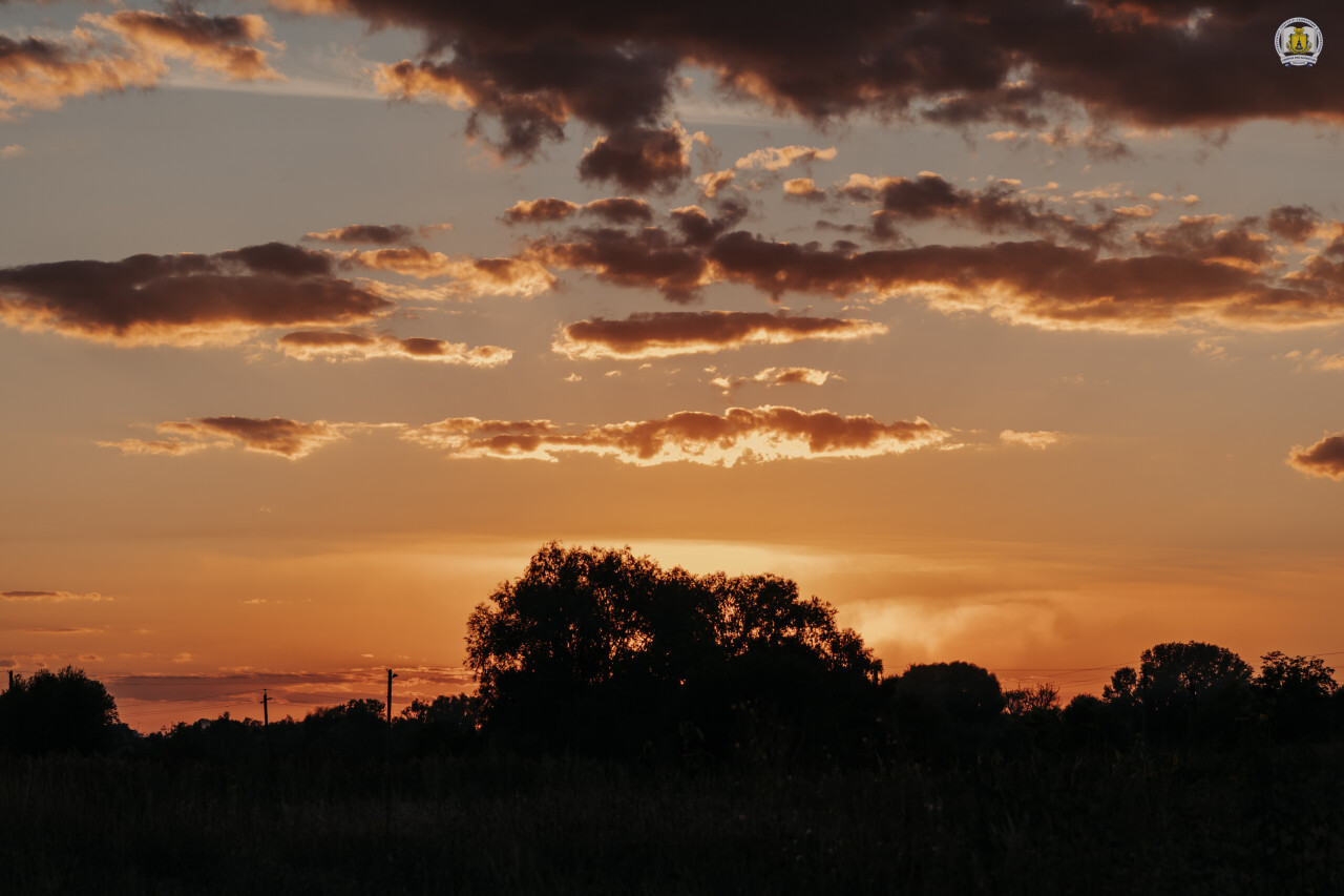 DSC_1015.jpg
