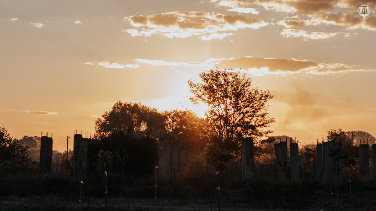 DSC_0905.jpg