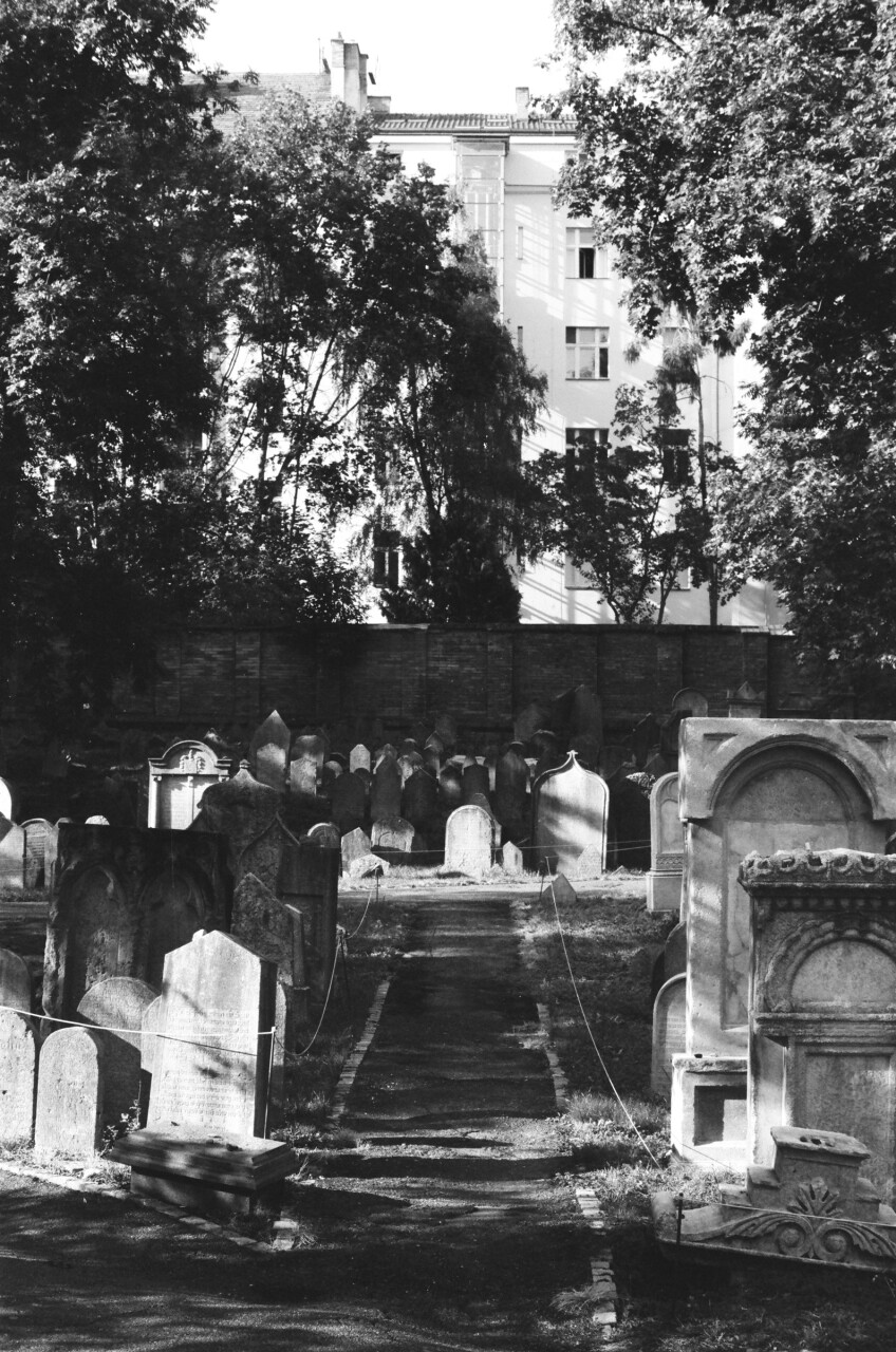 jerome.srv-zizkov-79.jpg