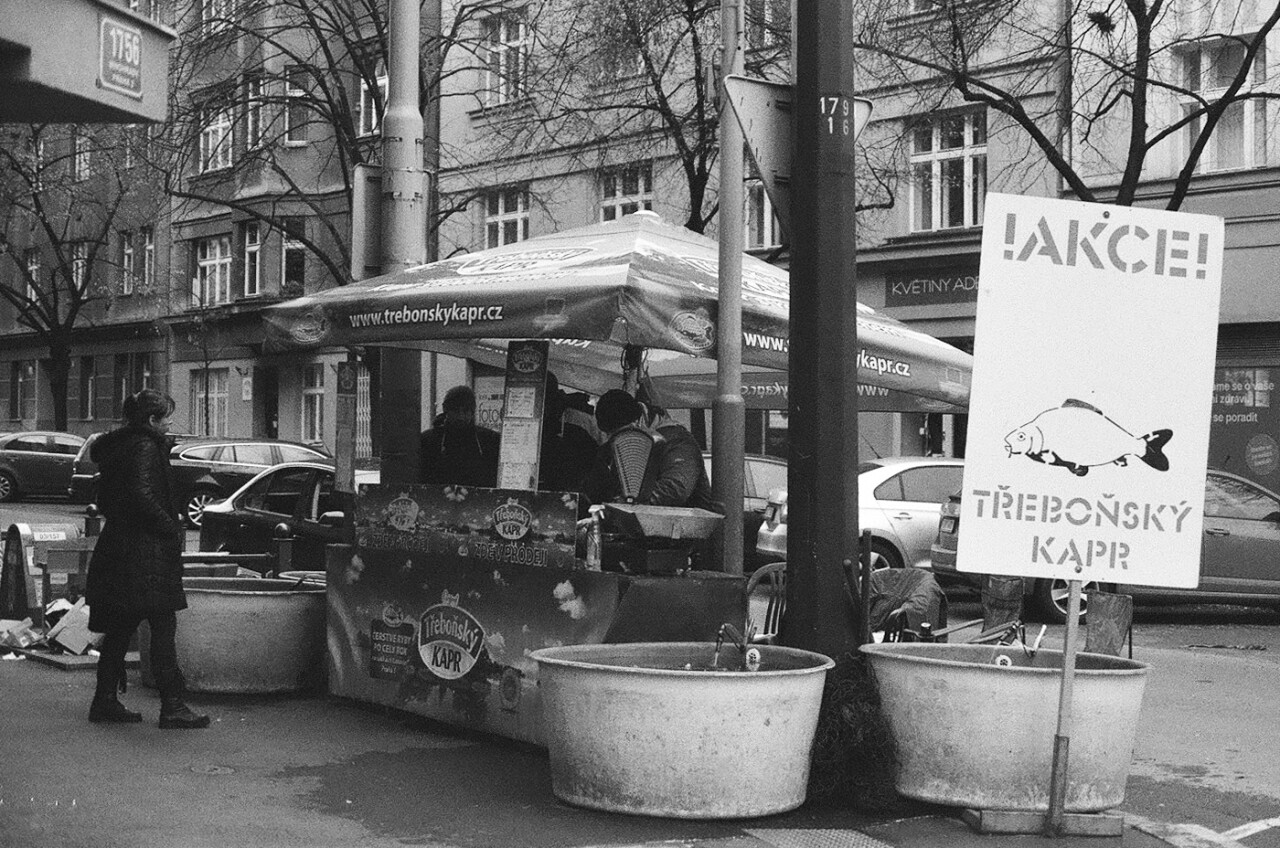 jerome.srv-zizkov-13.jpg