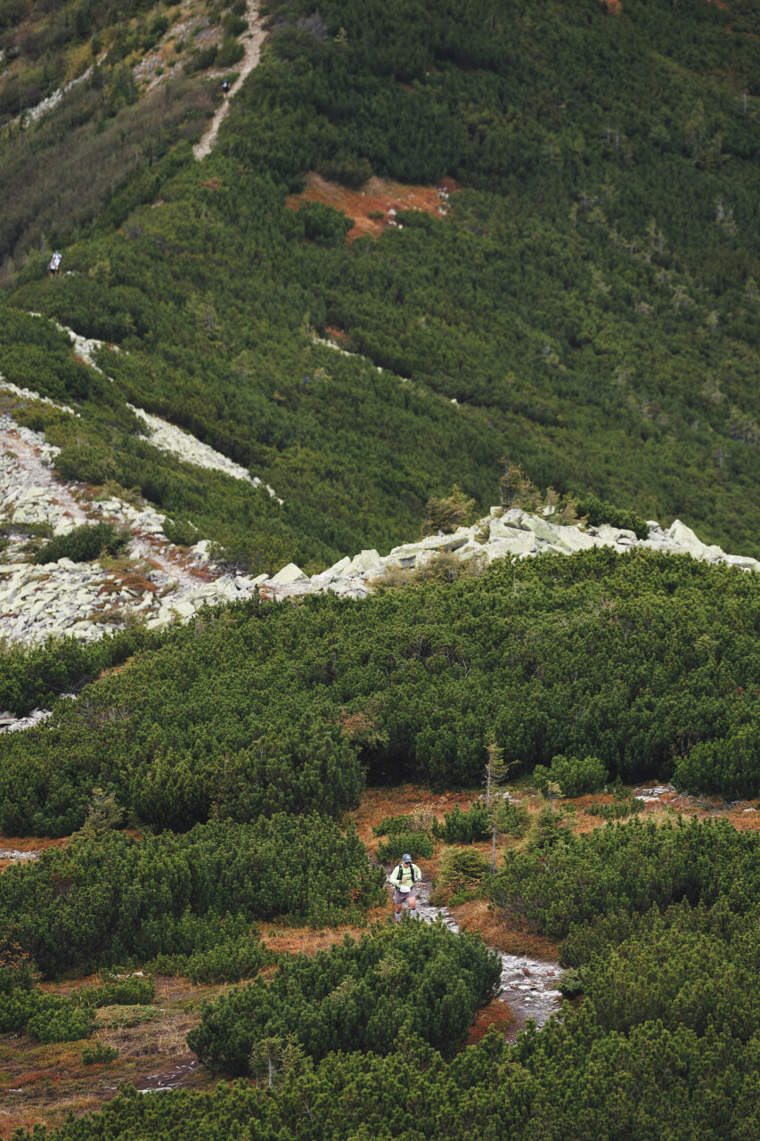 zasadnyi-Igrovets-0135.jpg