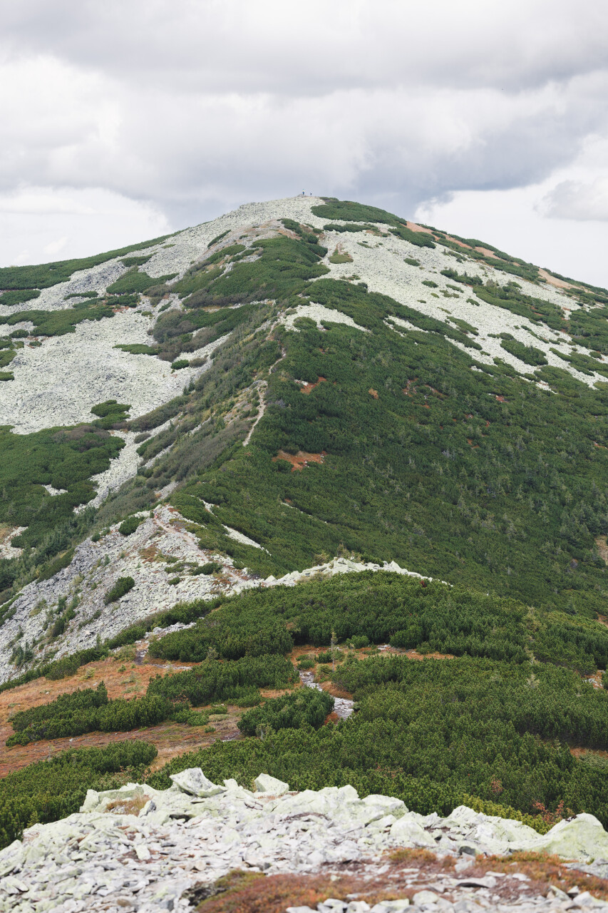 zasadnyi-Igrovets-0133.jpg