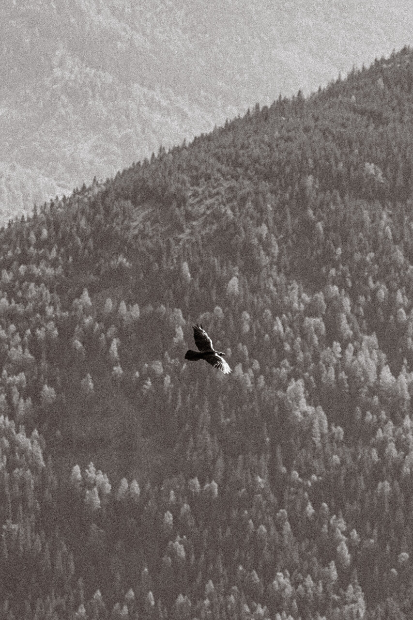 Untitled-4.jpg