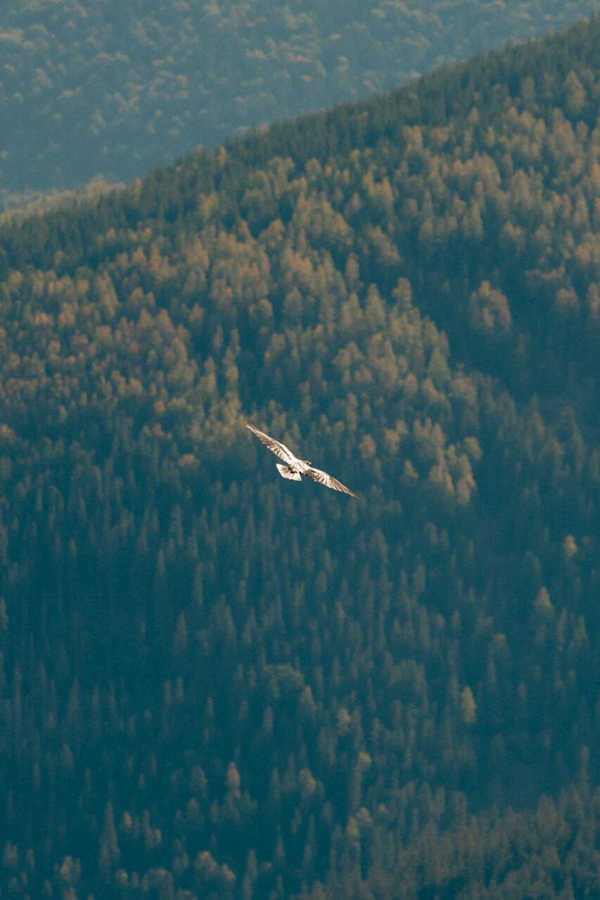 Untitled-3.jpg