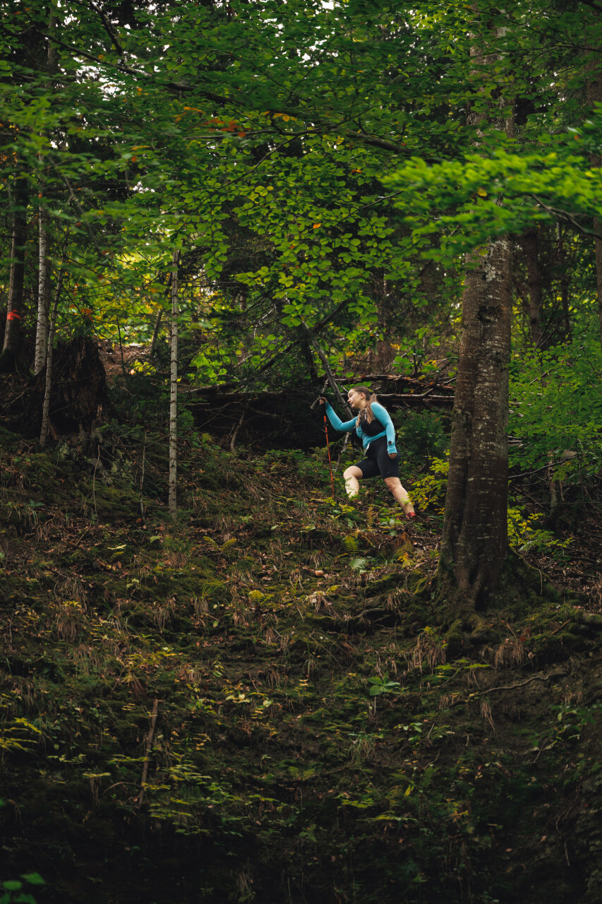 zasadnyi-zamletskyi-26km-0508.jpg