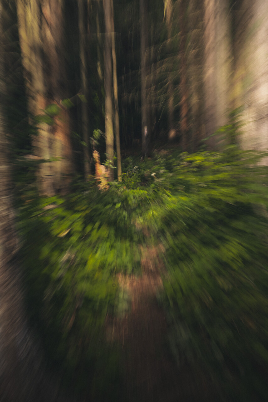 Untitled-289.jpg