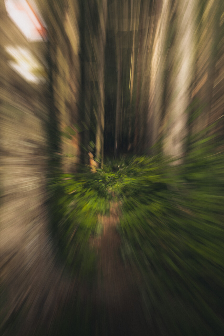 Untitled-291.jpg