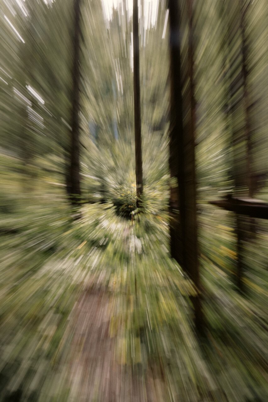 Untitled-324.jpg