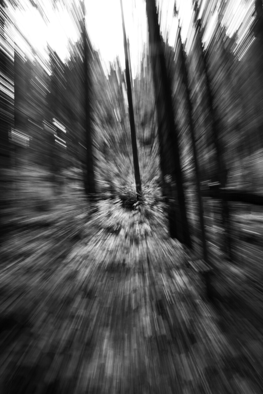 Untitled-326.jpg