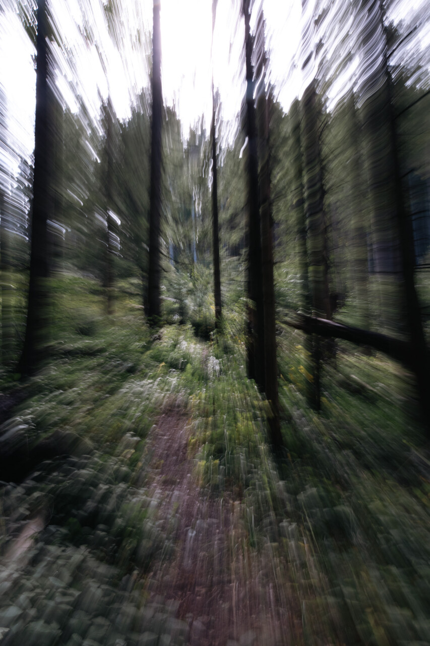 Untitled-323.jpg