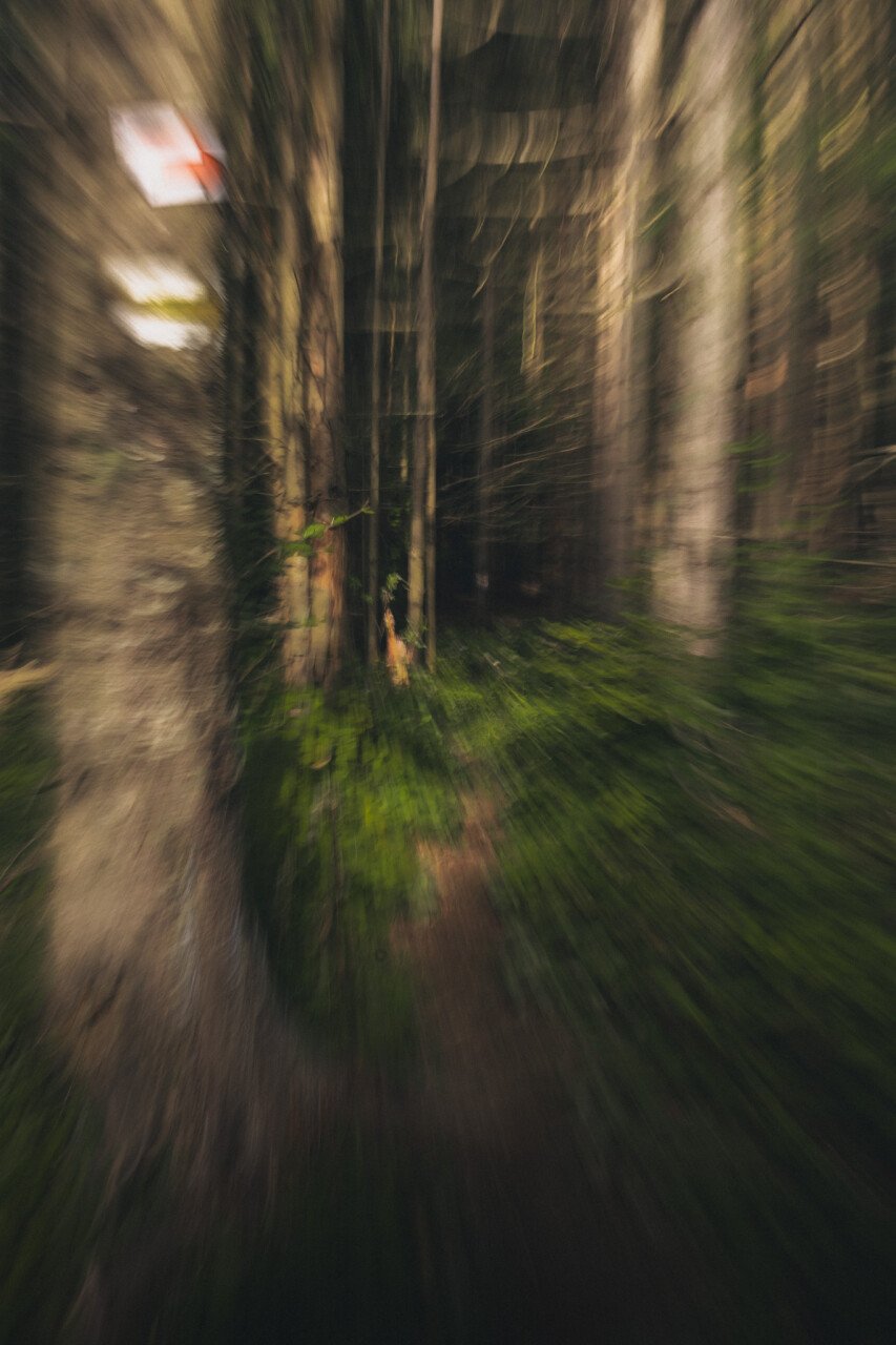 Untitled-290.jpg