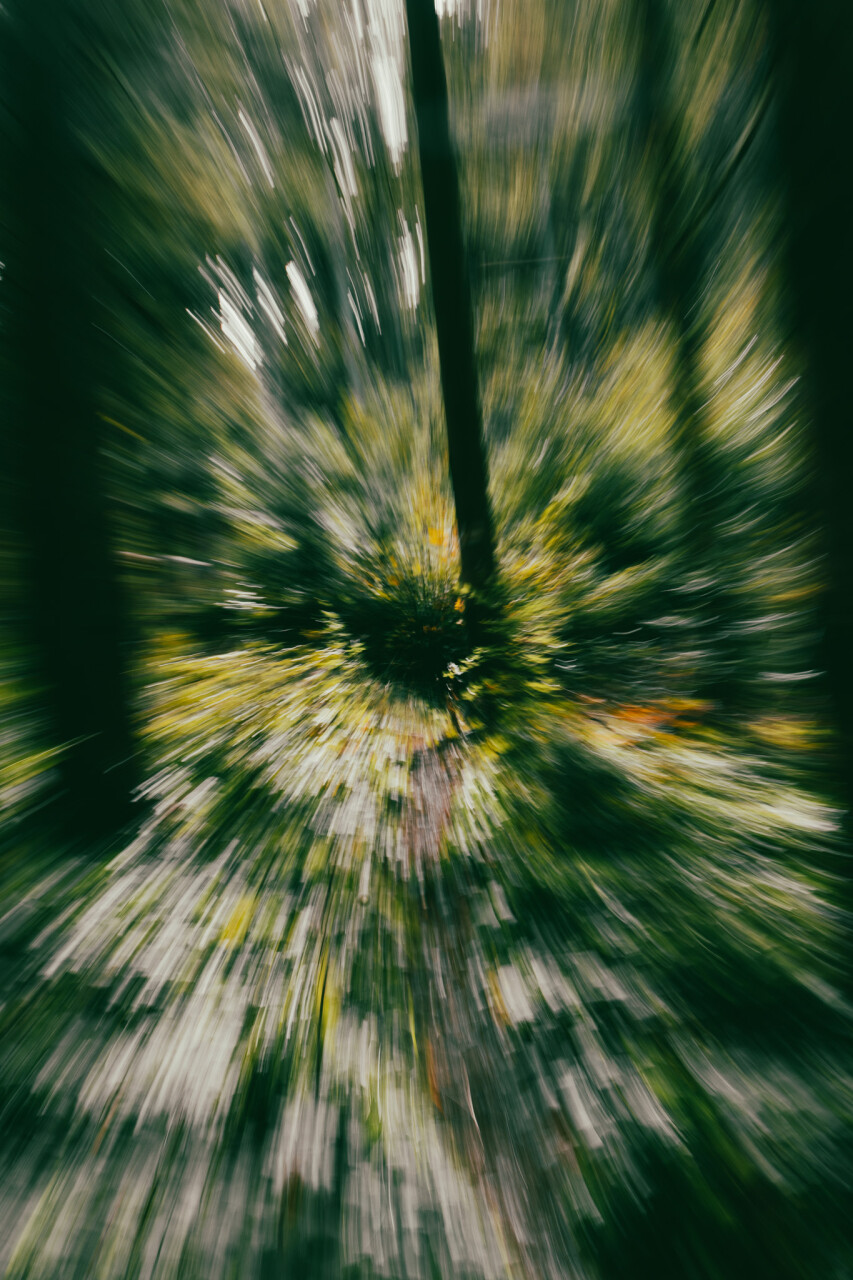 Untitled-322.jpg