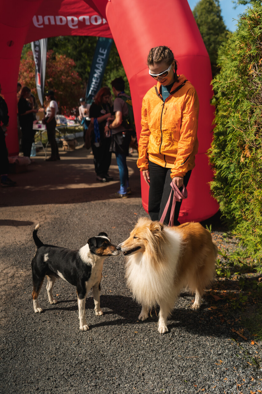 DSC00-1295.jpg